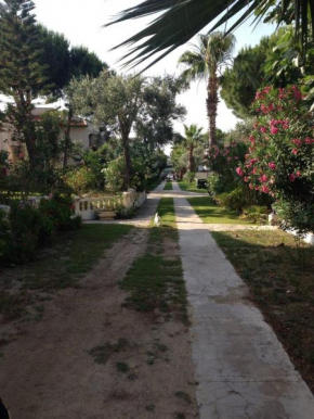 SİMPA ÇEŞME TATİL KÖYÜ